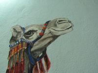 Kamel Detail